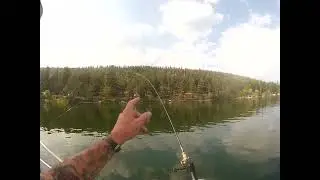 Fishing on remote Loon lake B.C. , Canada