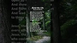 🎧Build My Life by Pat Barrett #365_top_praise #trend_worshipsong #modern_hymns #lyrics #shorts