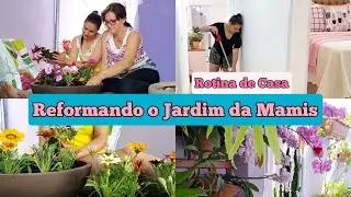 COMEÇAMOS A REFORMA NO JARDIM | MUITAS DICAS | ROTINA DE CASA | REPLANTANDO SUCULENTAS | FER DINIZ