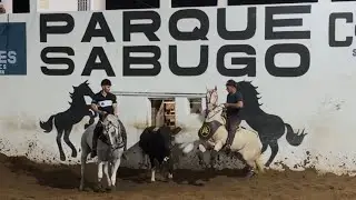 Vaquejada 2025 Parque Sabugo  