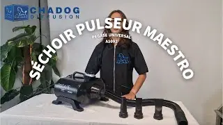 S&eacute;choir pulseur Pegase Universal Maestro portable - Chadog Diffusion