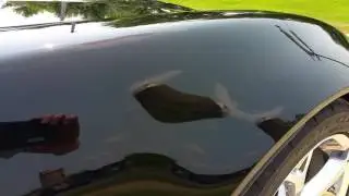 2011 Corvette GS Ceramic Coated by Superficial Details