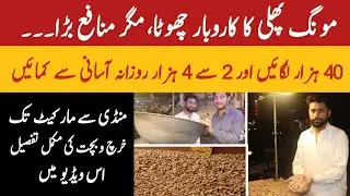 Start peanut business and earn daily 1000 | Mong phali ka business kaise shuru kare | peanut karobar