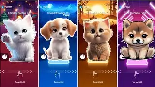 Cats vs Dog Battle What Do You Mean Justin Bieber Vs My Stupid Heart Vs Alan Walker Ignite Vs Faded