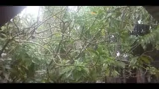 Cayo District, Belize