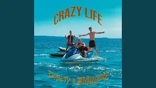 Crazy Life