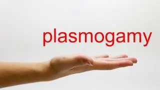 How to Pronounce plasmogamy - American English