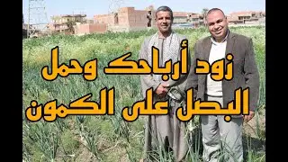 تحميل البصل على الكمون (ضاعف أرباحك)