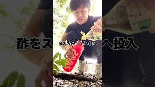 給水ボトルの中身を酢に変えてみた②#ダイみち #ジャンキソウダイ #ドッキリ #裏側