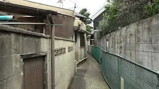 [4K Япония] Прогуляйтесь по переулкам вокруг храма Hozenji - Osaka