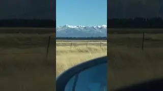 Road Trip to Lake Tekapo 🚙🏔️🇳🇿
