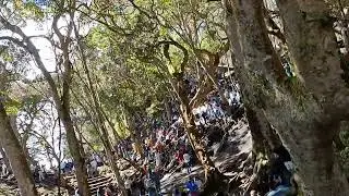 #kodaikanal #gunacaves 