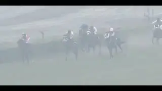 5TH RACE WINNER QASWA PRINCESS QASWA MAKE RECORD TIME 1200 METER#horse#equestrian #equestrian #whip