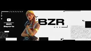 Welcome to BZR Esports