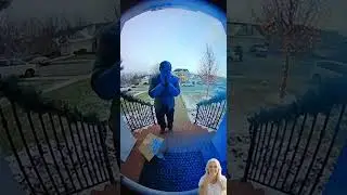 Funny Box Bandit  772  #funny   #comedy #securitycam