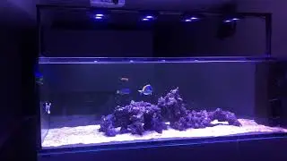 Waterbox 7225 - Update