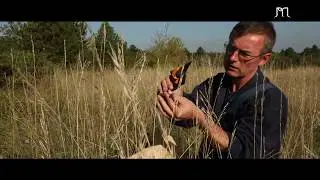 Herborisation et collectes de graines - Jardin Botanique J.-M. Pelt | Ep. 21