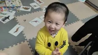 Học bài cùng em bé 12m