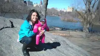 New York 2-Mar-2016