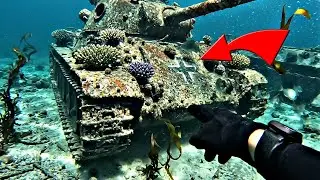 SHOCK Discovery of a sunken German NAZI ship containing hundreds of World War II tanks