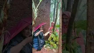 ഒന്നൊന്നര വൈബാണേ... #shorts  #shortsfeed