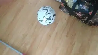 Волди играет в мячик