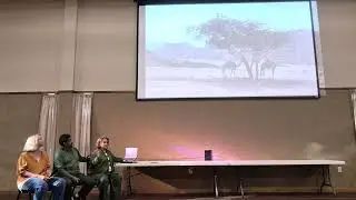 Miracles at Mount Sinai 