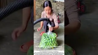 The Airless Hug: Vacuum‑Sealing Fruit for Longer Life 🍊🌀