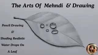Pencil drawing and shading realistic water drops on a leaf 
