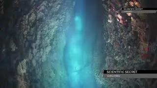 Earth's Longest Mountain Range Is Underwater: Exploring the Mid-Atlantic Ridge 🌋#MidAtlanticRidge 🌊