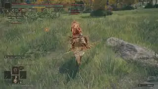 ELDEN RING: Holy ground cheat fail