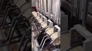 machis ki tili banane ki machine 💯
