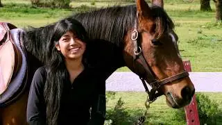 Pony Express
