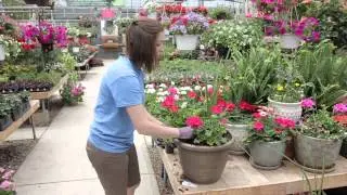 Custom planters at The Glasshouse
