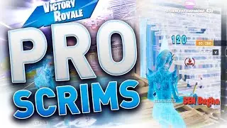 Pro Scrim Highlights