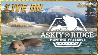 🔴Liveon - Nova Reserva Askie Ridge!#7🔴