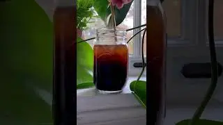 Easy Dorm Coffee routine with Javy