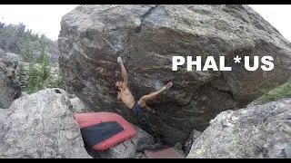 PHAL*US V12