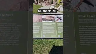 Hidden Gem in Southfield MI