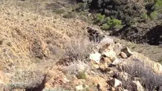 Desert cliffwalking