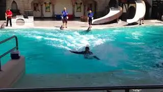 Aaliya's Adventures @ Marinland, Niagara Falls Canada