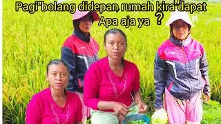 PAGI 