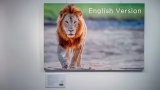 Wildlife Photography at the Museum &ndash; The wildwunder Exhibition