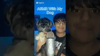 ASMR With My Dog?! 🐶 #asmr #asmrtriggers #doglove