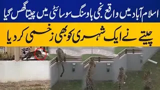 Leopard attack in Islamabad residential society | Breaking News | Capital TV