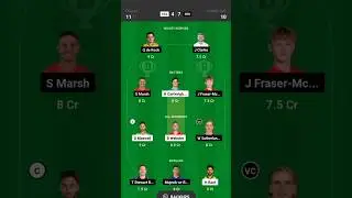 MLR VS MLS 23rd T20 Dream 11 Prediction Melbourne Stars vs Melbourne Renegades dream 11 team