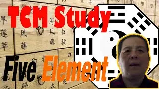 TCM Review Five Elements
