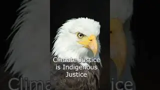 MASS NON-VIOLENT CIVIL RESISTANCE NOW GLOBAL CITIZENS FOR HUMAN RIGHTS AND CLIMATE JUSTICE