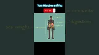 ⚡Y0ur Micr0bes and Y0u|| Microbes|| Science|| Improve your English Vocabulary#shorts⚡