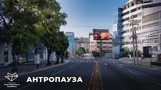 Антропауза